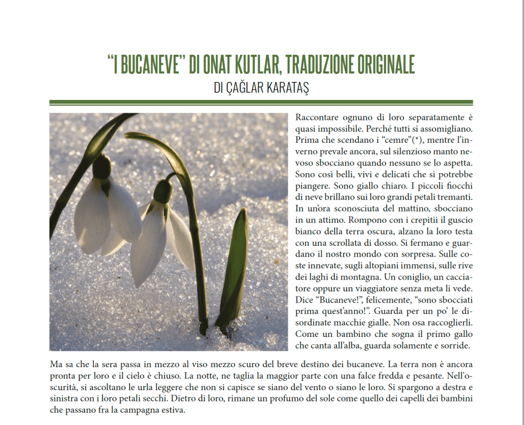 “I Bucaneve” Di Onat&nbsp;Kutlar